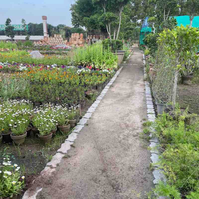 ISLAMABAD FITNESS Akhlaq Hussain post image