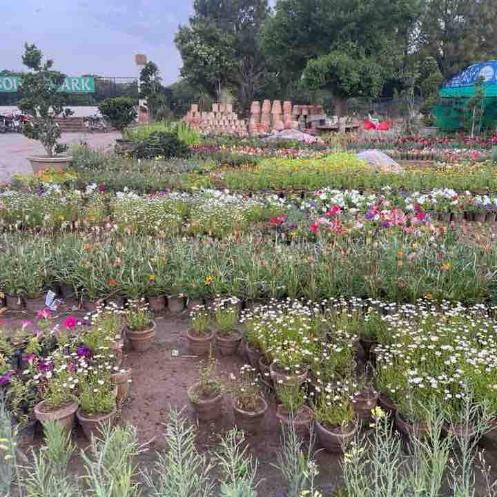 50 + and Fit Akhlaq Hussain post image