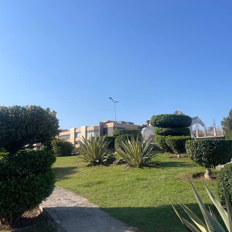 Pacers of Pakistan Akhlaq Hussain post image