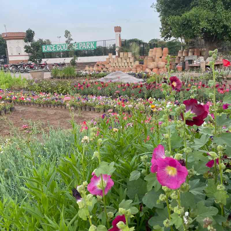 Friends of PacerPal Akhlaq Hussain post image