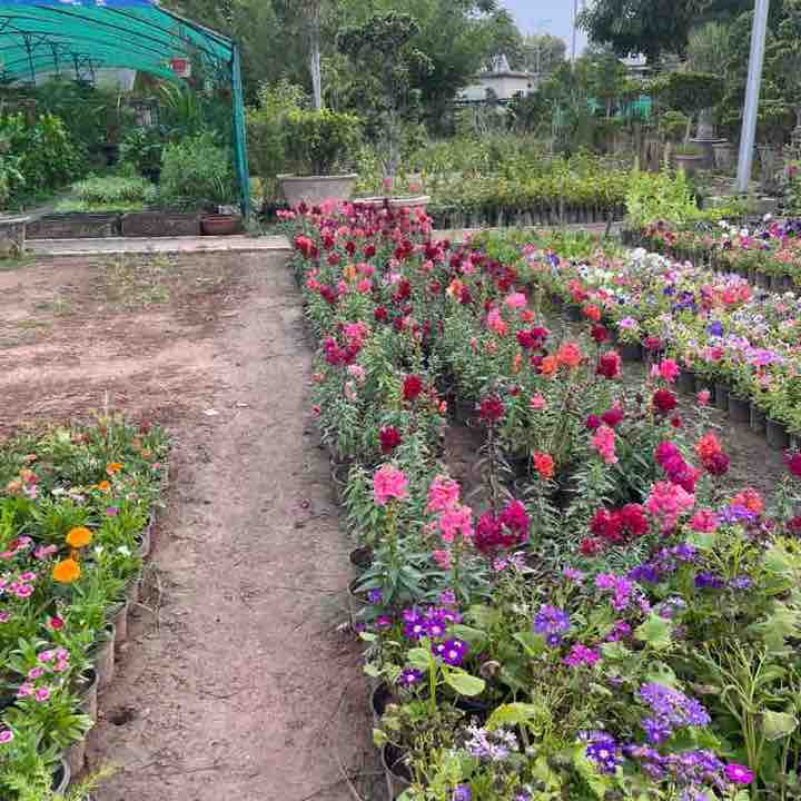 Rawalpindi  Walkers😎 Akhlaq Hussain post image