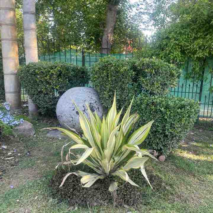 Friends of PacerPal Akhlaq Hussain post image