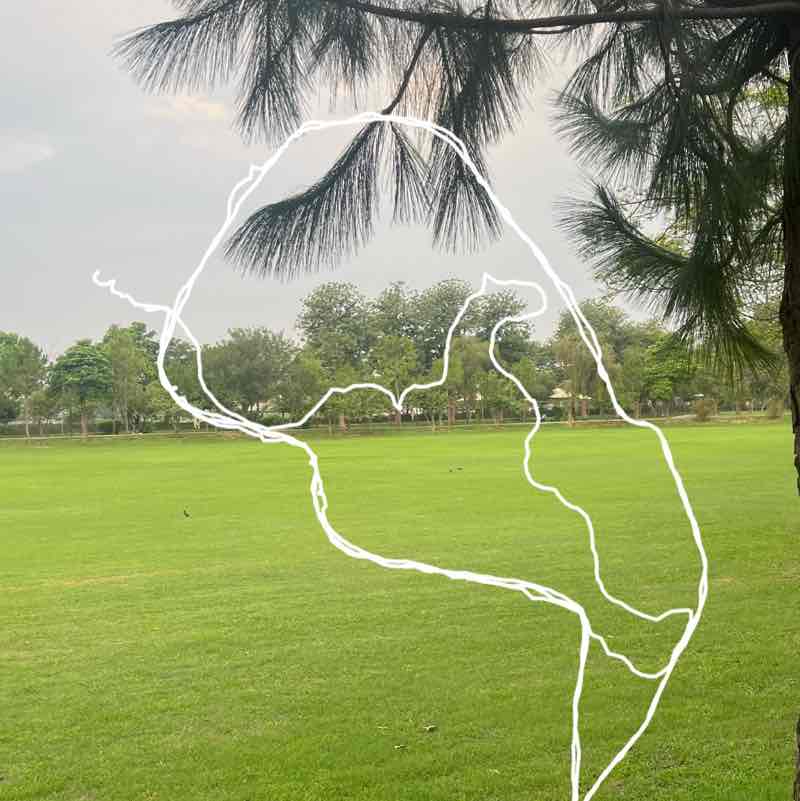 Walking Beyond 10K+ Together 🚶 Akhlaq Hussain post image