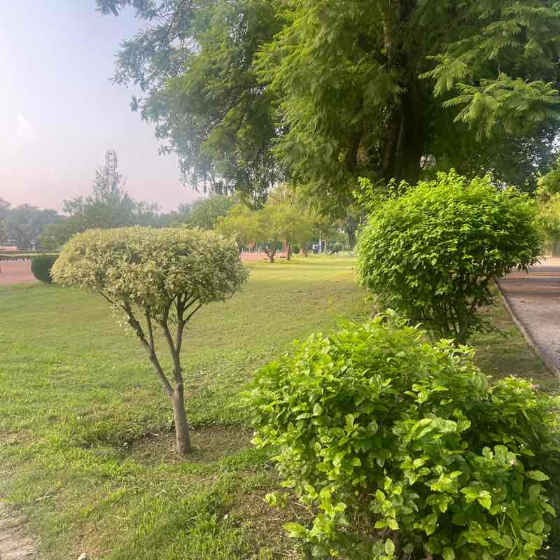 Walking Beyond 10K+ Together 🚶 Akhlaq Hussain post image