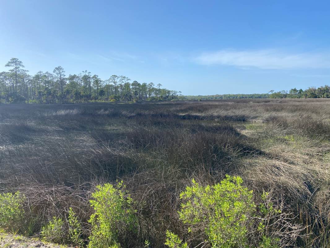 walking near me in Guana Tolomato Matanzas National Estuarine Research Reserve in winter