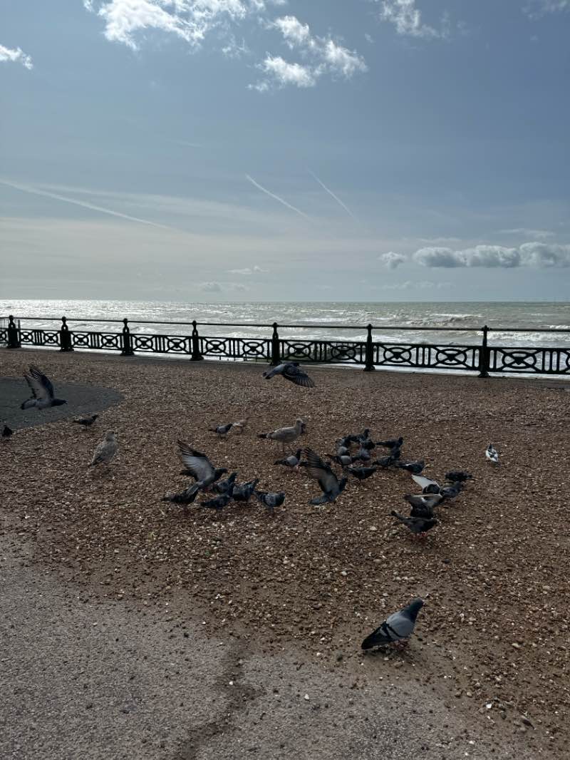walking near me in Regency Square in winter