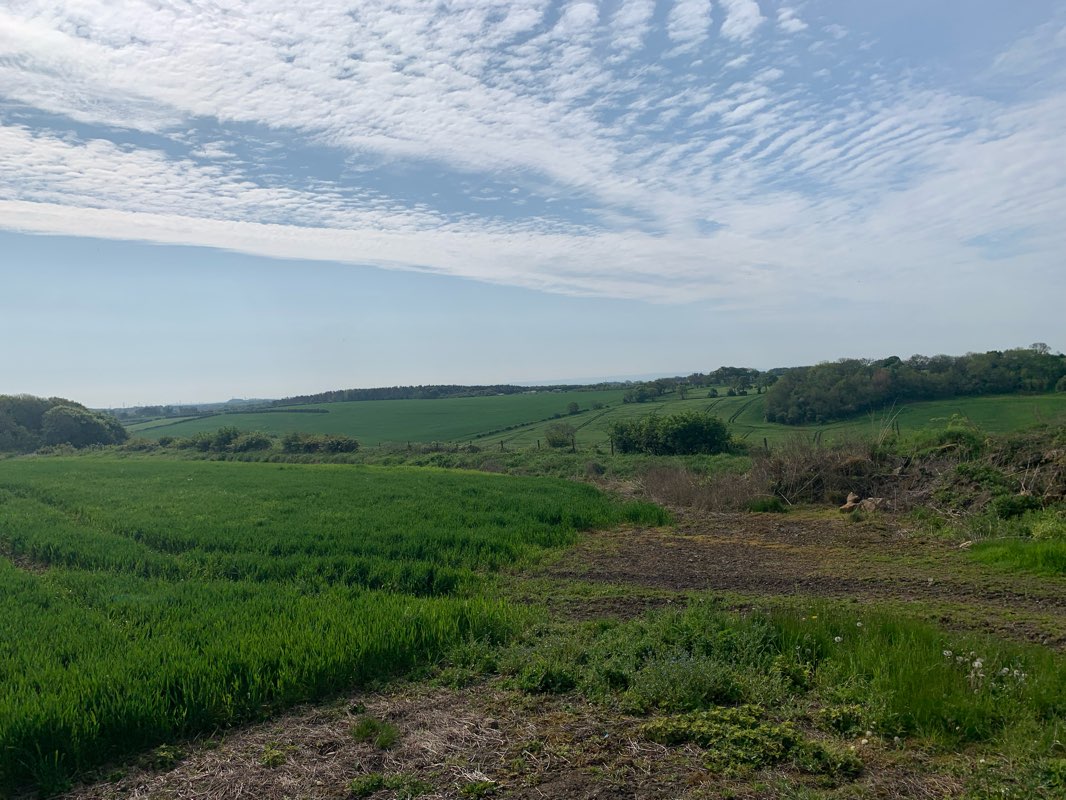 walking near me in Wingate Quarry Local Nature Reserve in winter