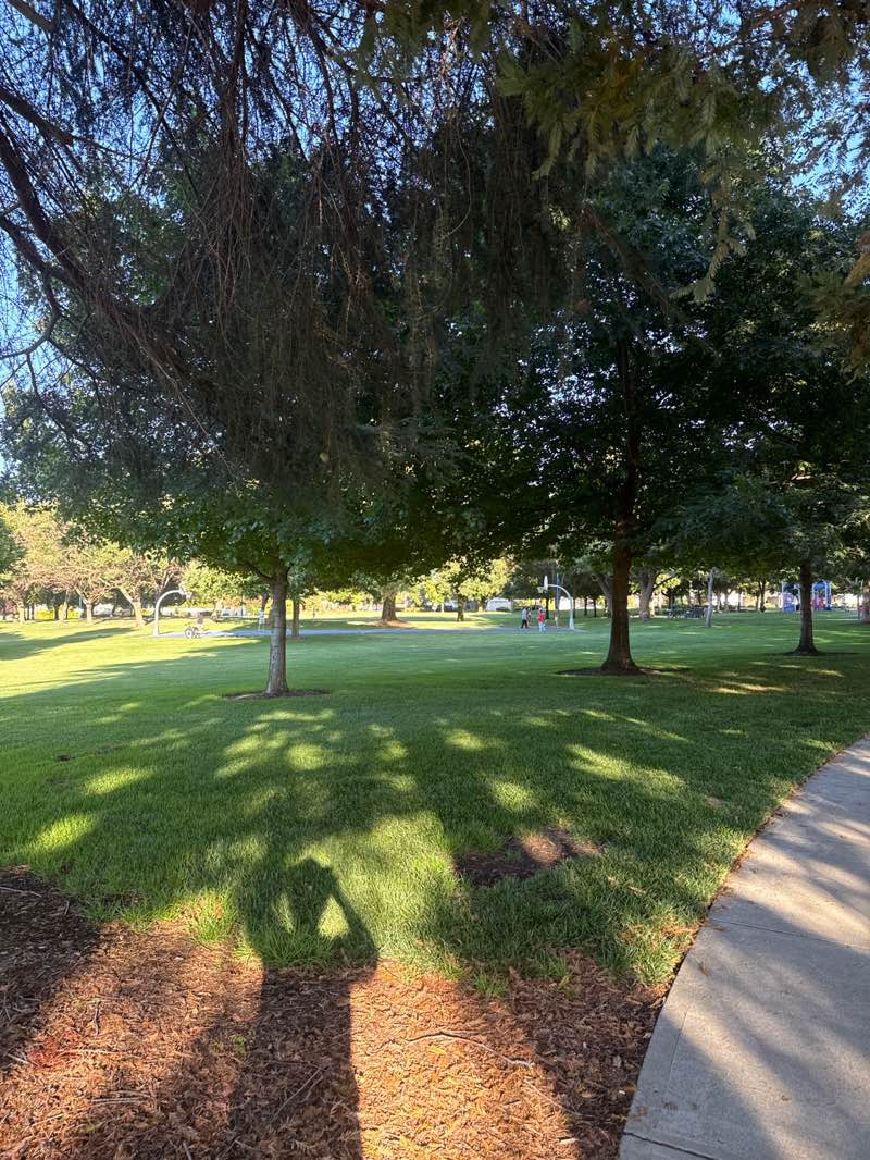 walking near me in Nielsen Park in autumn