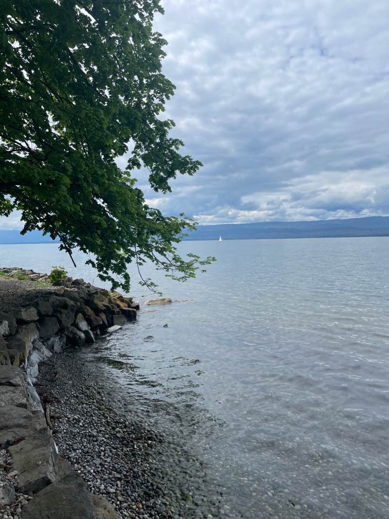 walking near me in Parc de la Châtaigneraie in winter