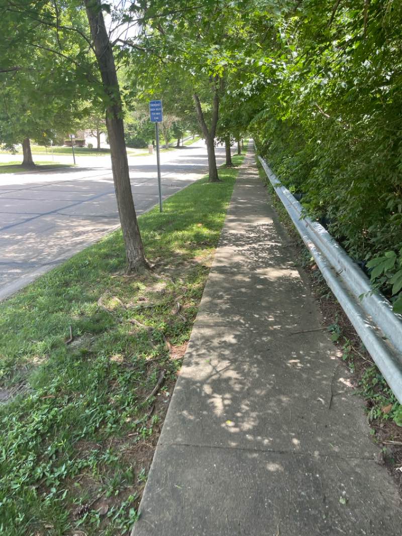 walking near me in Harry S. Truman Park in summer