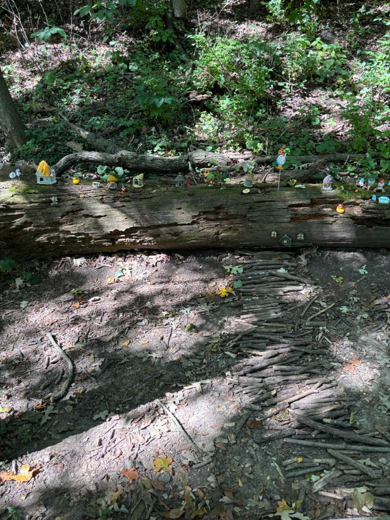 walking near me in Frank Vaydik Park in autumn