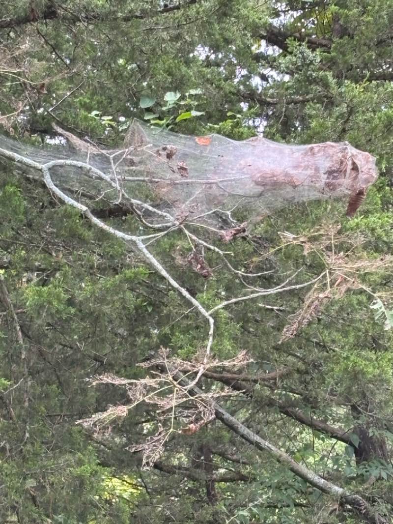 walking near me in Oakridge Farm Park in autumn