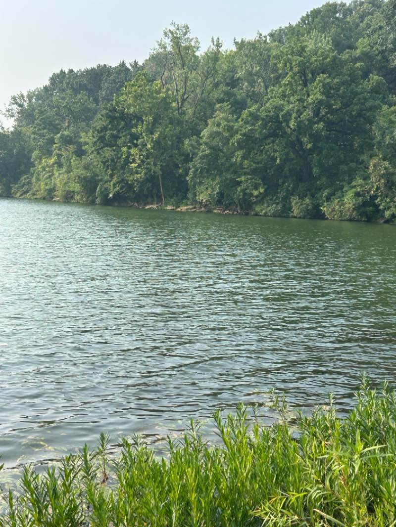 walking near me in Wyondotte County Lake Park in autumn