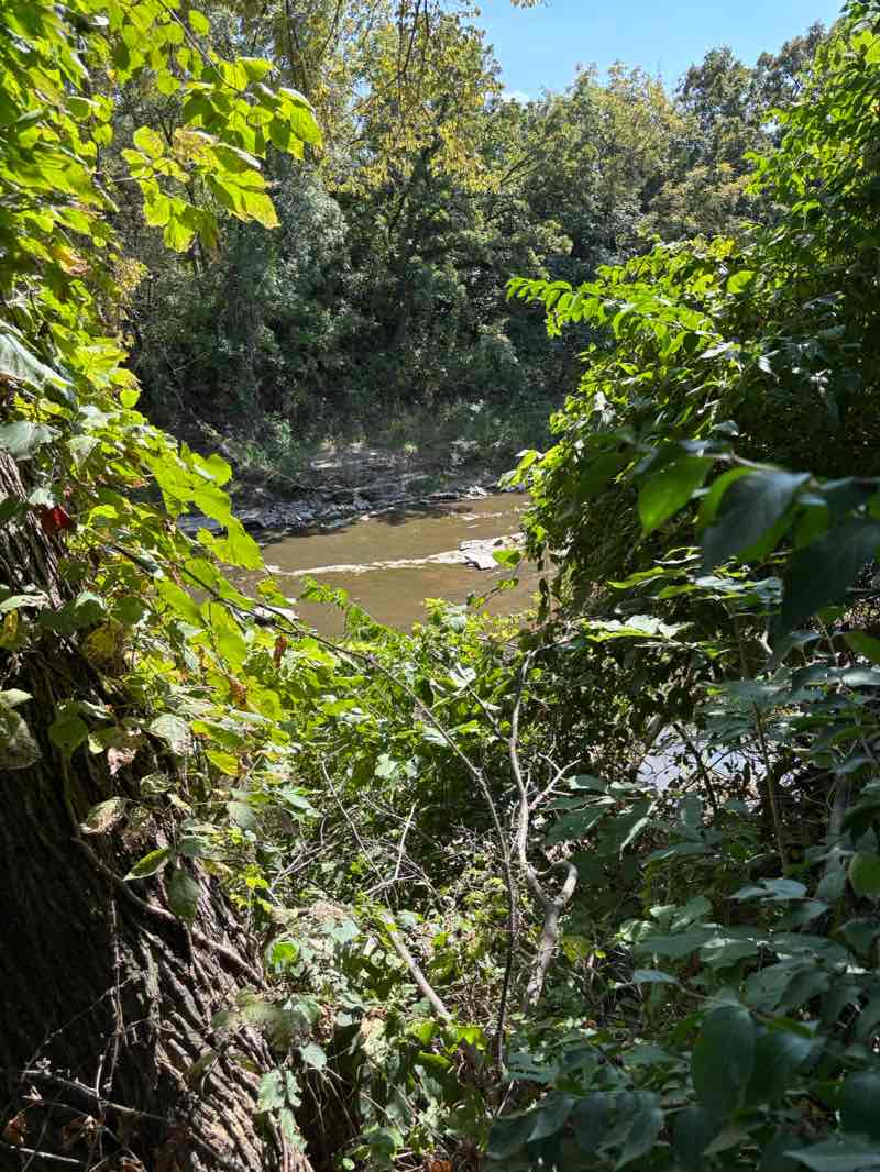 walking near me in Mill Creek Streamway Park in autumn