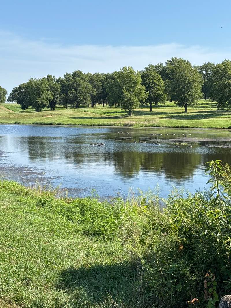 walking near me in Wyandotte County Park in autumn