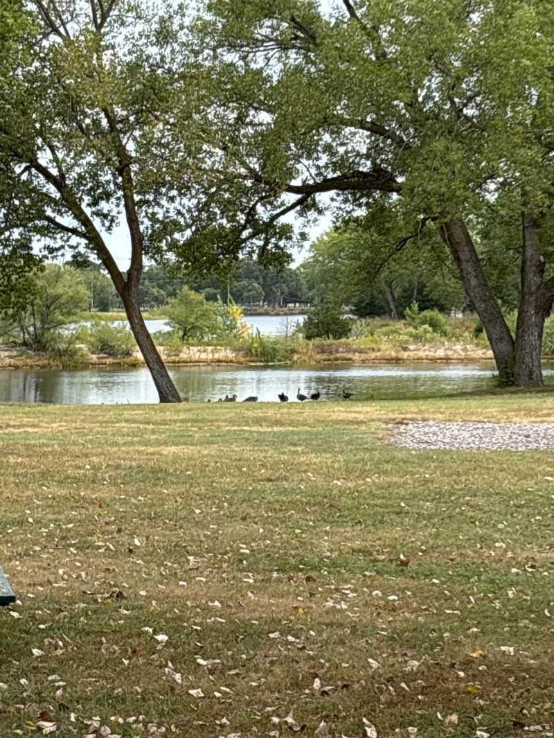 walking near me in L.E. Ray Park in autumn