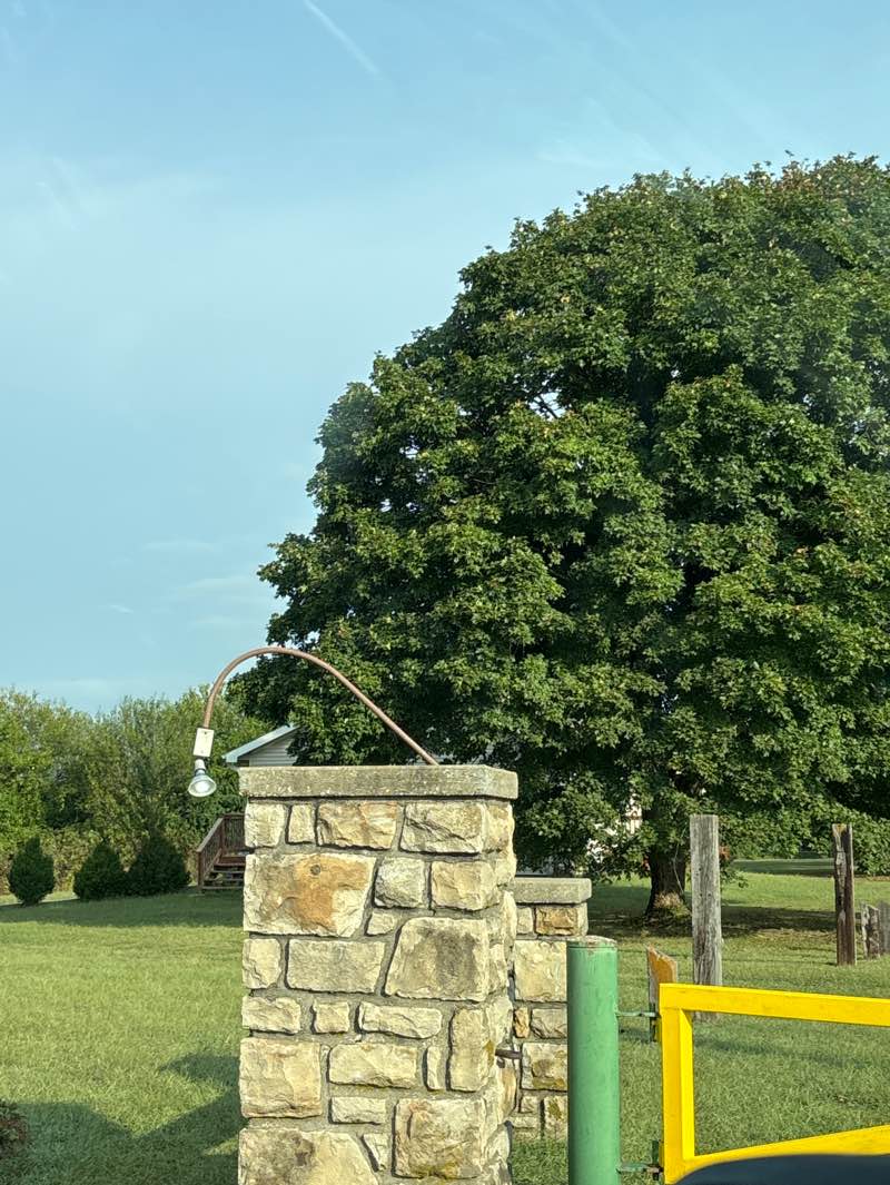 walking near me in Earnest Shepard Memorial Youth Center Park in autumn