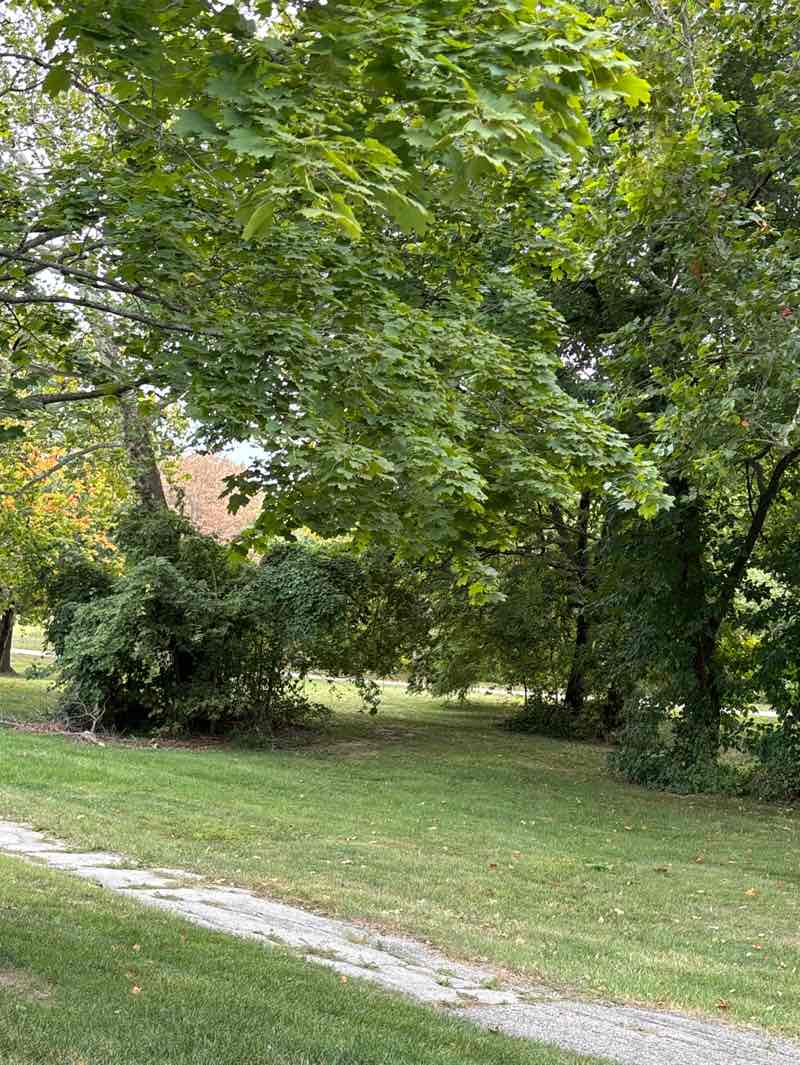 walking near me in Rosehill East Park in autumn