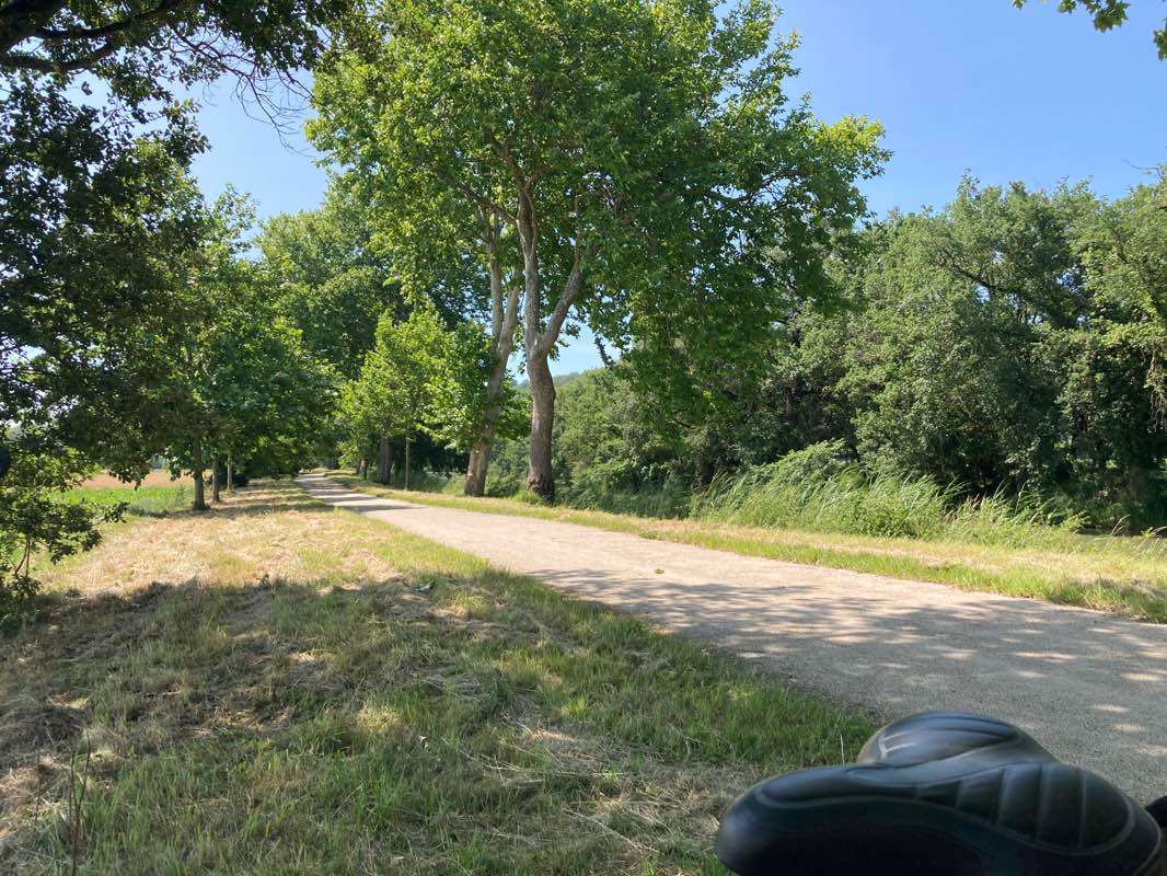 walking near me in Parc de Gironis in winter