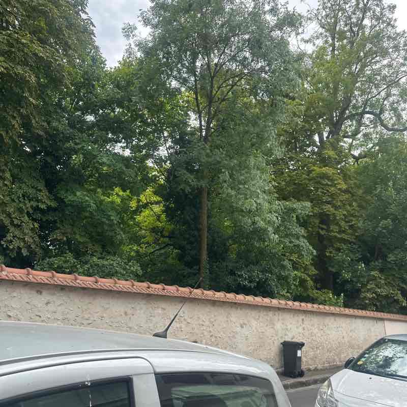 Emmanuelle Princilia post 2