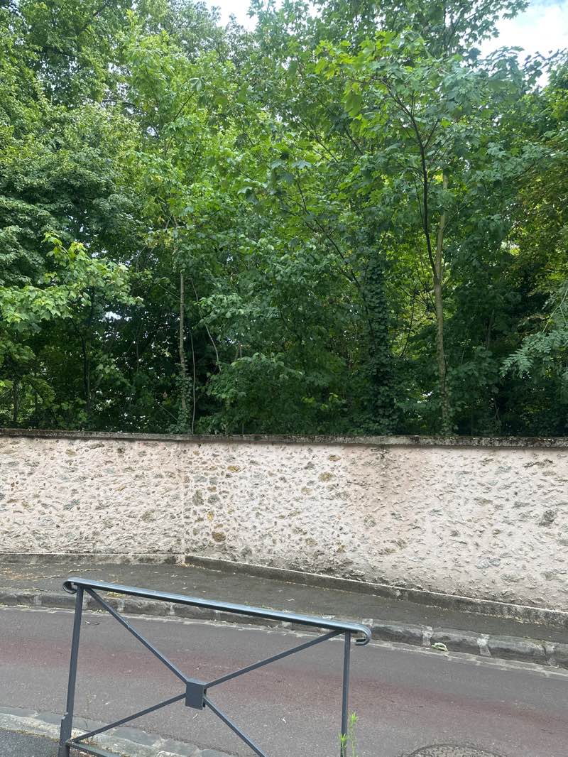 walking near me in Parc des Artistes in summer