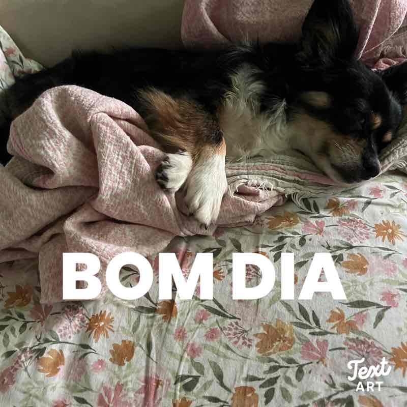 SambaLove post 2