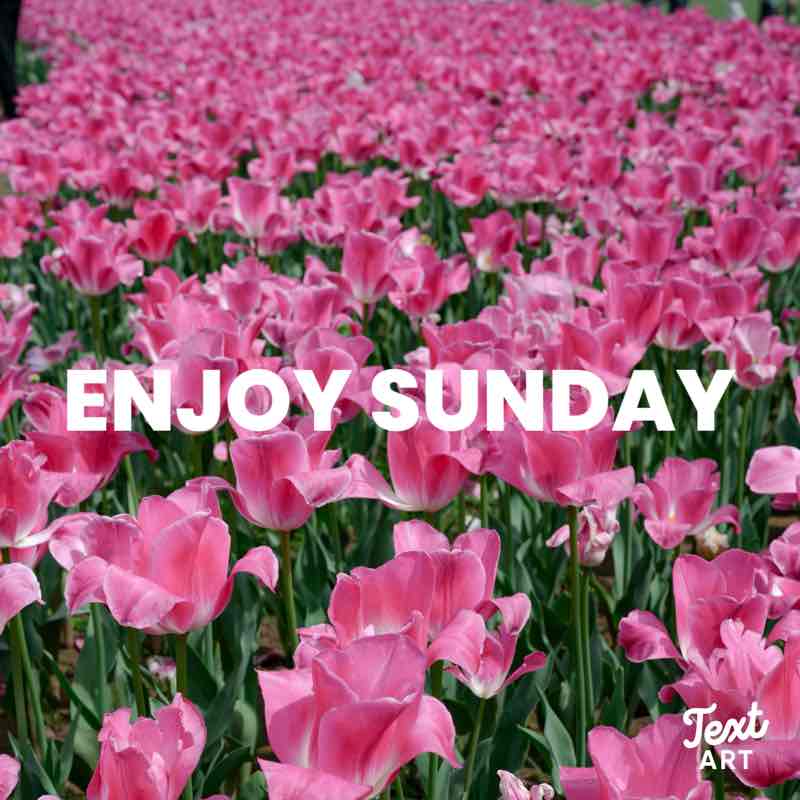 SambaLove post 2
