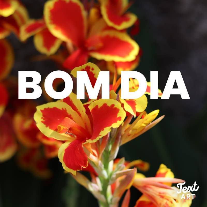 SambaLove post 2