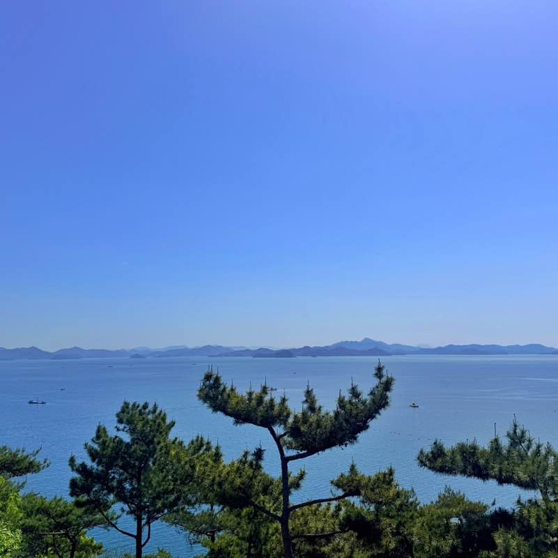 이애림 post 1