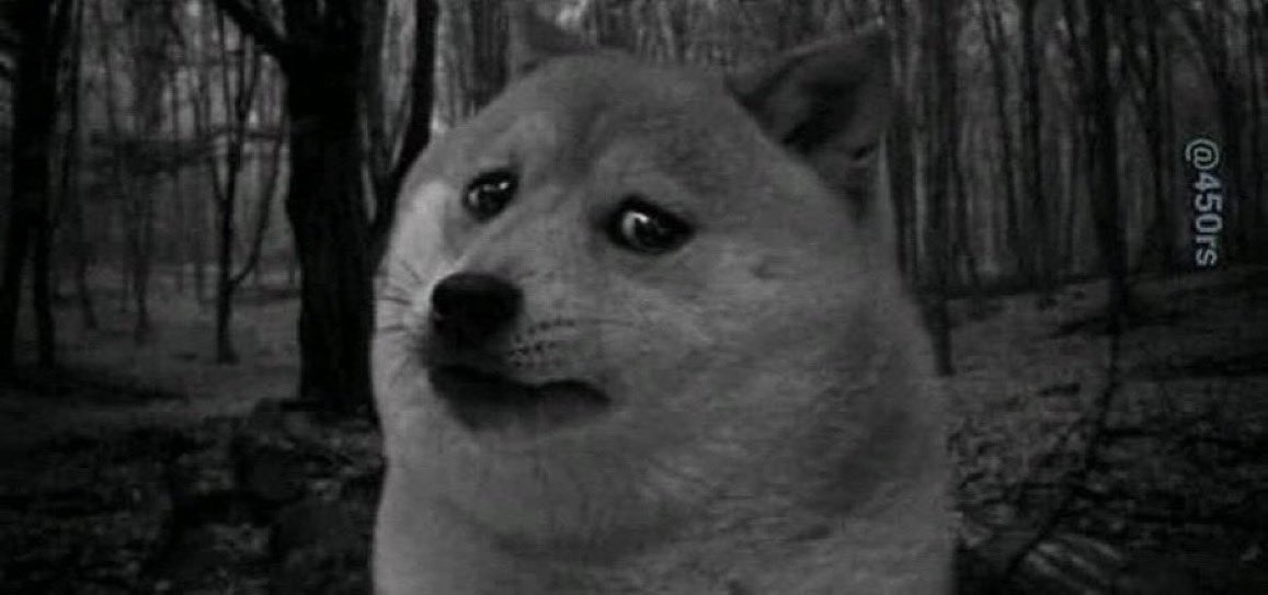 Sultan Alshaer profile