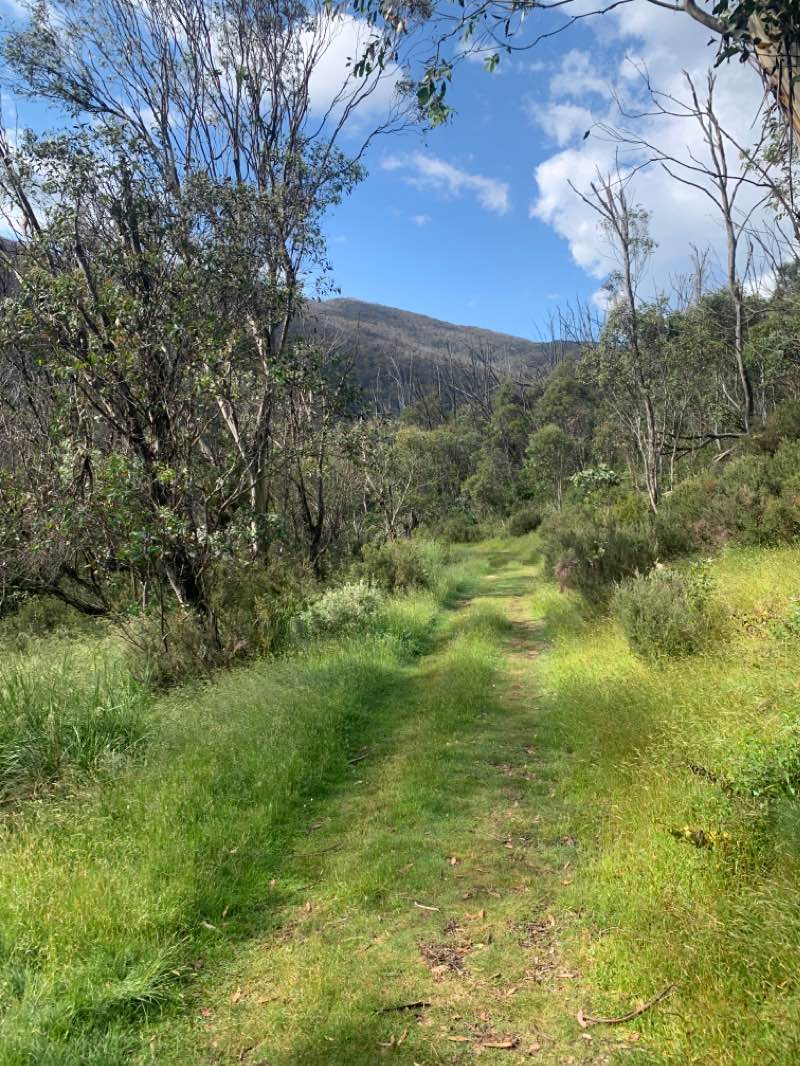 walking near me in Village Green in summer