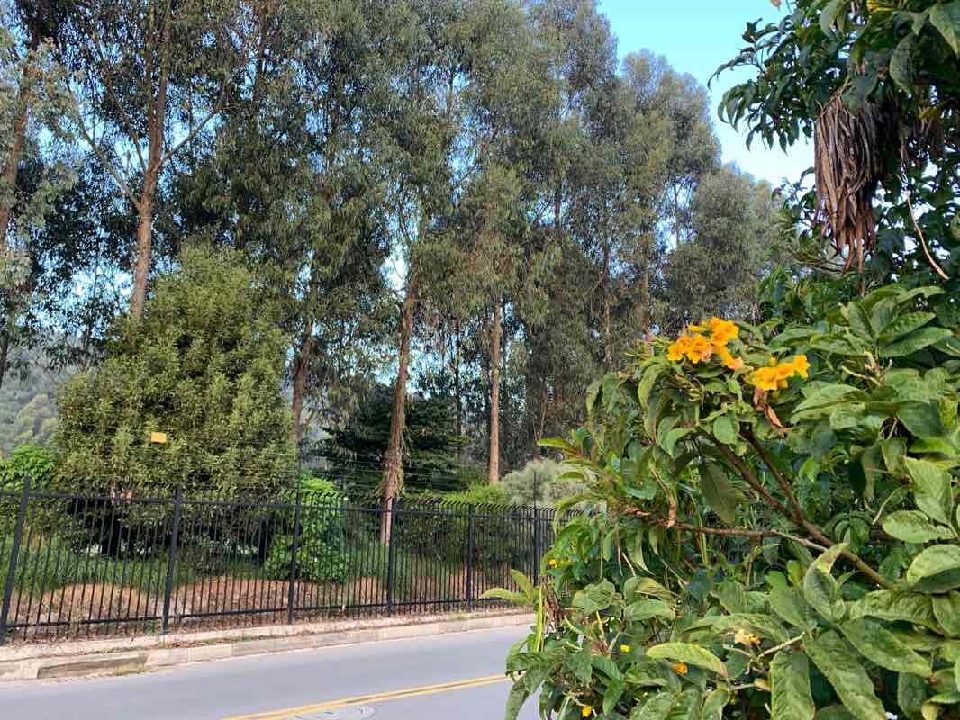 walking near me in Parque Avenida Casablanca Central in winter