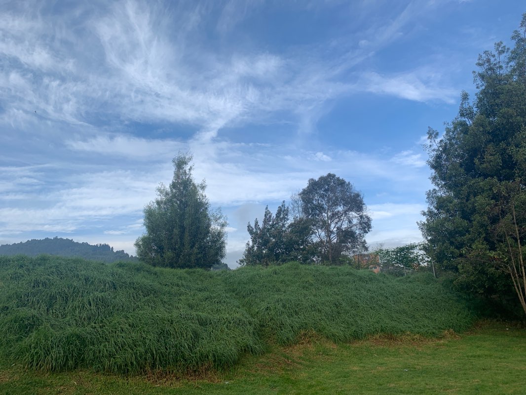 walking near me in Parque del Río in winter