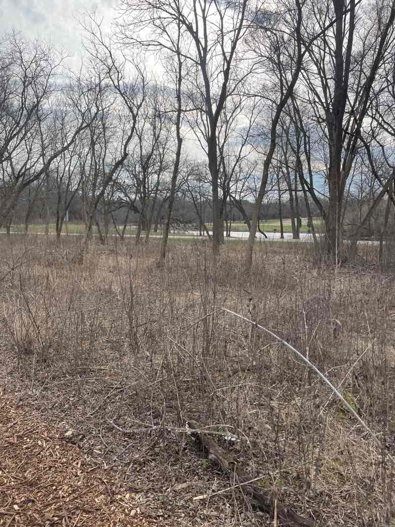 walking near me in Case Eagle Park in spring