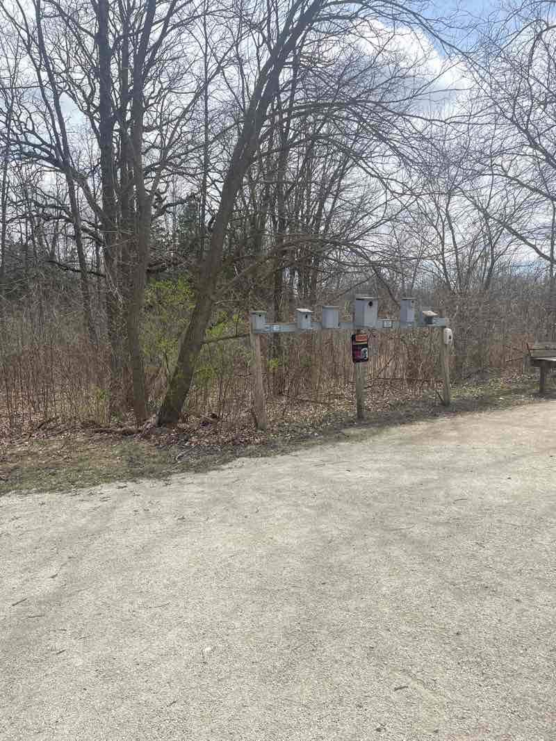 walking near me in Richard Bong State Recreation Area in spring