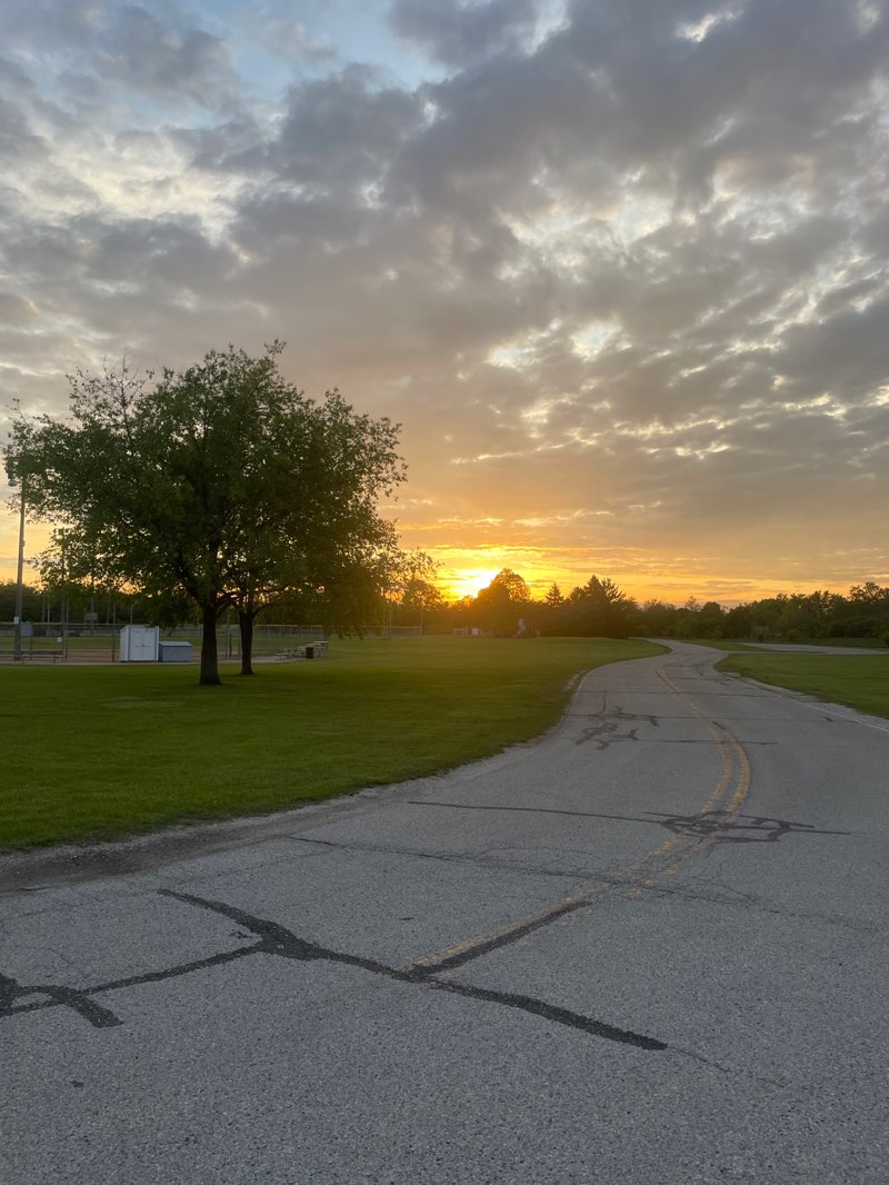 walking near me in Bushnell Park in spring