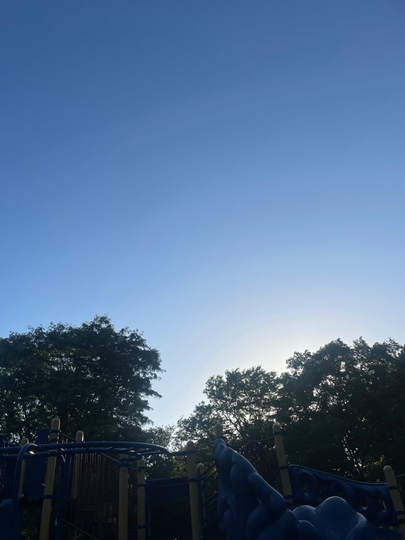 walking near me in Steinhoff Park in summer