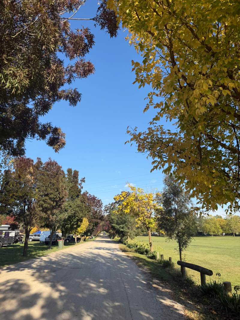 walking near me in Lake Wallace Recreation Area in autumn