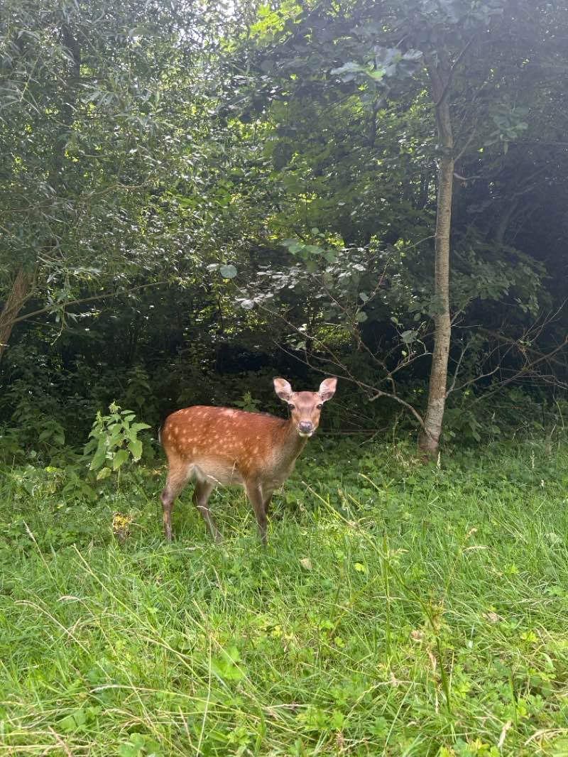 walking near me in Jamestown Park in autumn