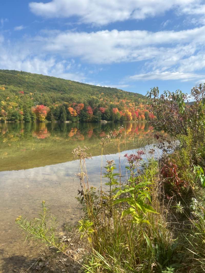 walking near me in Allegany State Park in winter
