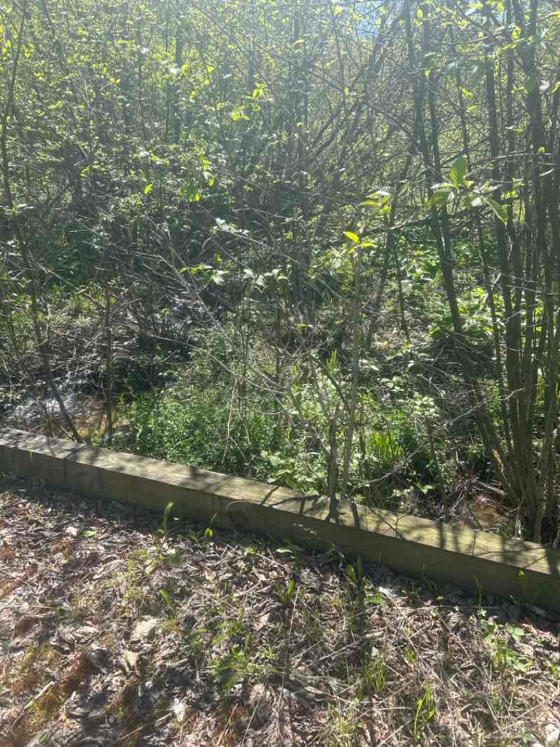 walking near me in Chapman State Park in spring