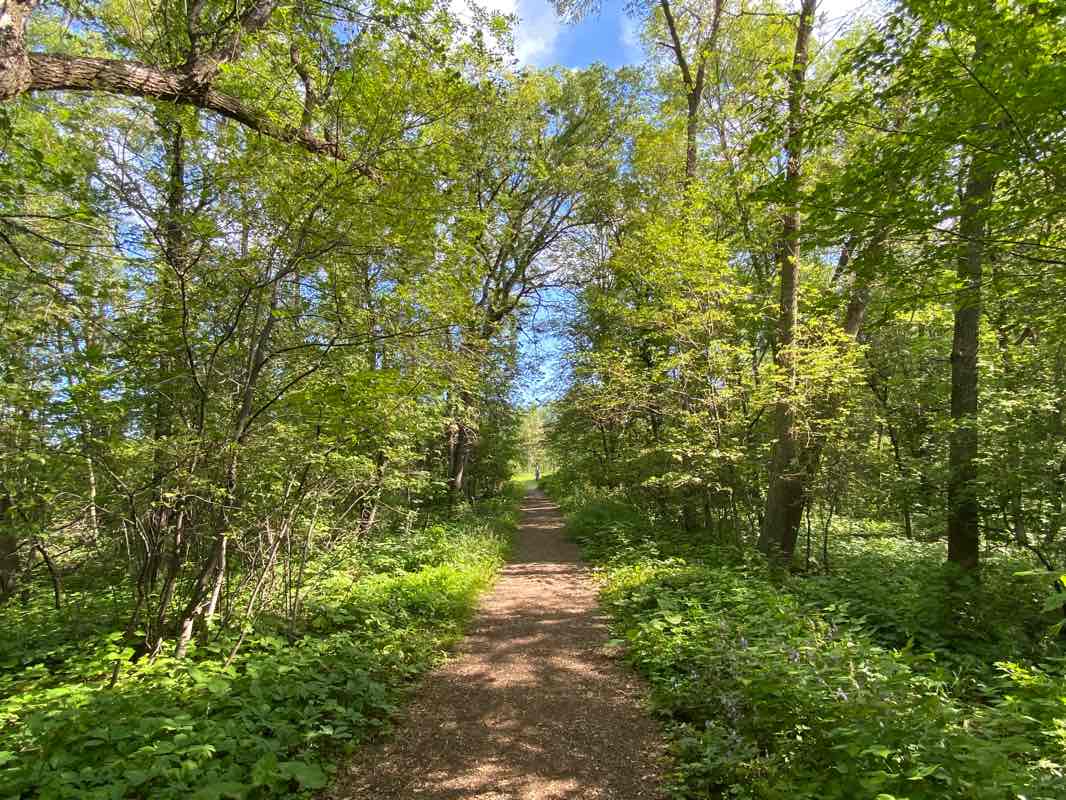 walking near me in Henteleff Park in winter