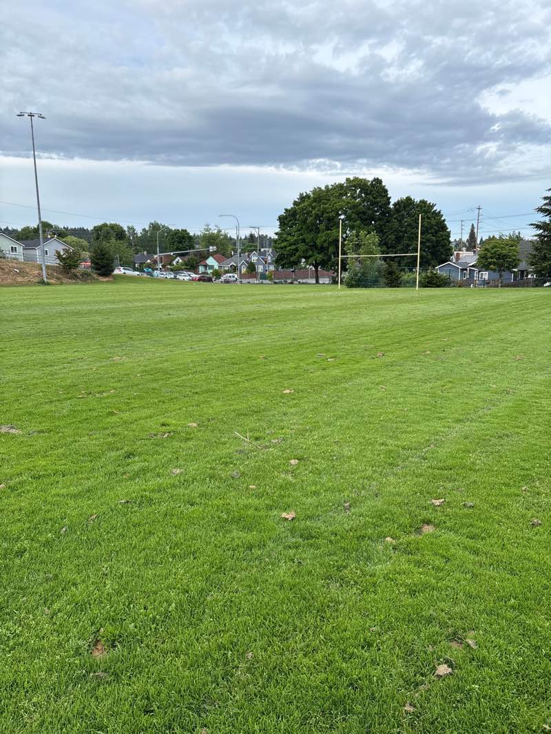 walking near me in Warren Avenue Playfield in summer