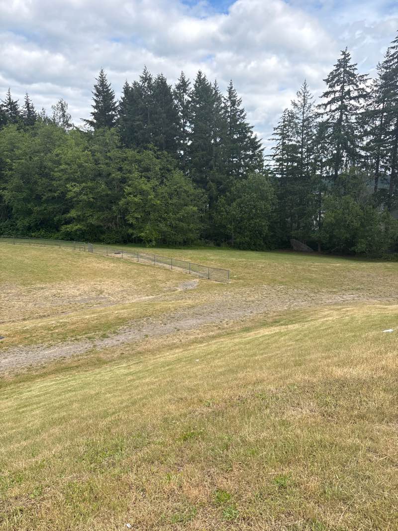 walking near me in Ridgetop Park #1 in summer