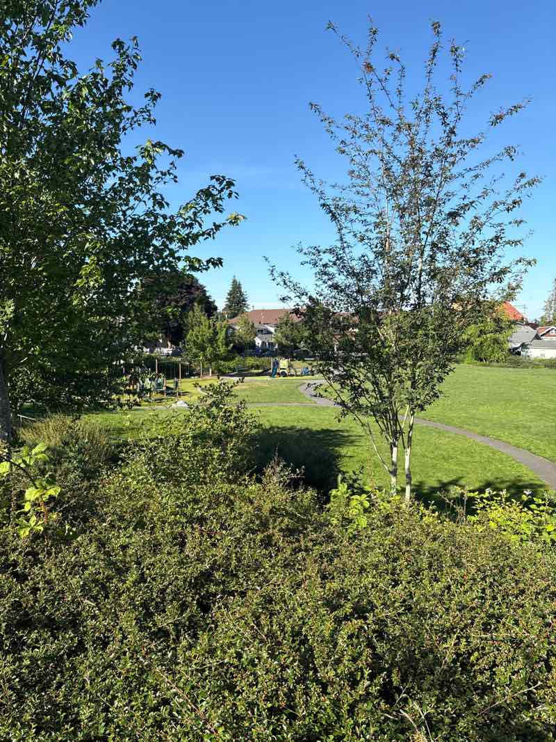 walking near me in Kiwanis Park in summer