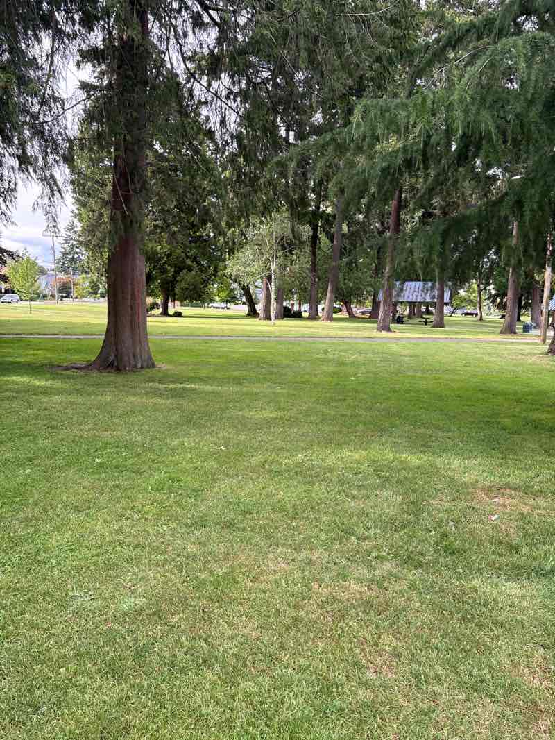 walking near me in Evergreen in summer