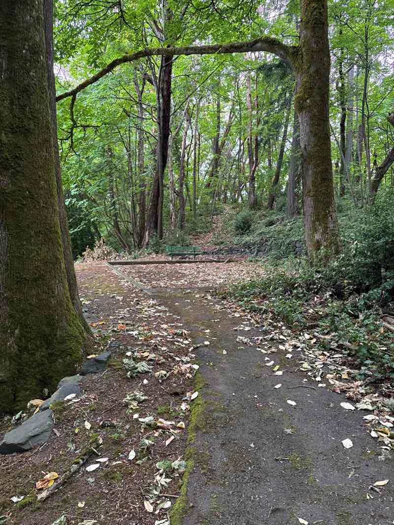 walking near me in Sheridan Park in summer