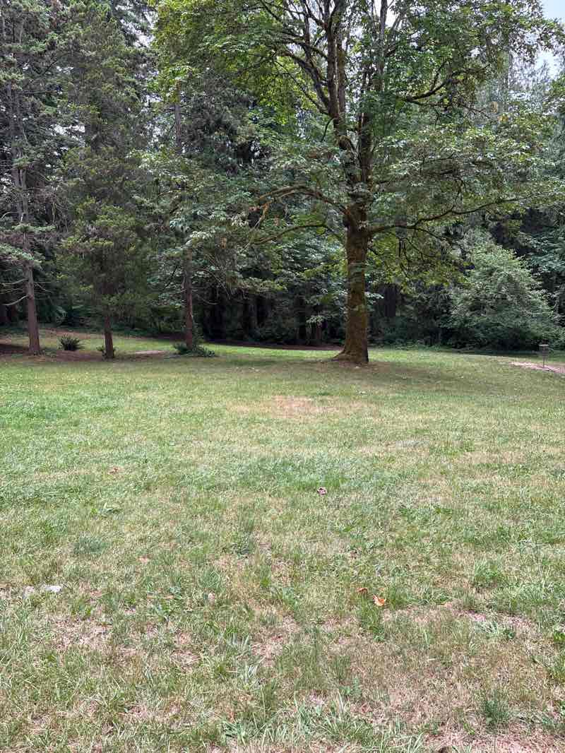 walking near me in N.A.D. Soroptimist Park in summer