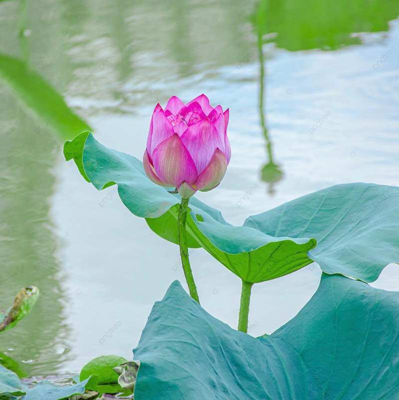 Pier🏆🚴🏃 post 1