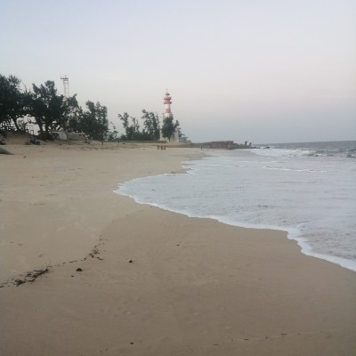 Nollany post 2